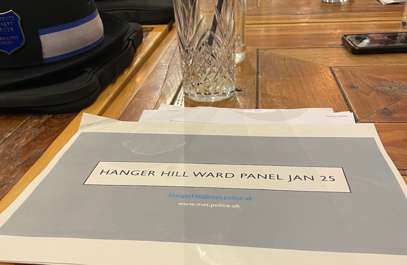 Hanger Hill ward police panel